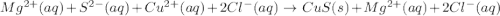Mg^{2+}(aq)+S^{2-}(aq)+Cu^{2+}(aq)+2Cl^-(aq)\rightarrow CuS(s)+Mg^{2+}(aq)+2Cl^-(aq)