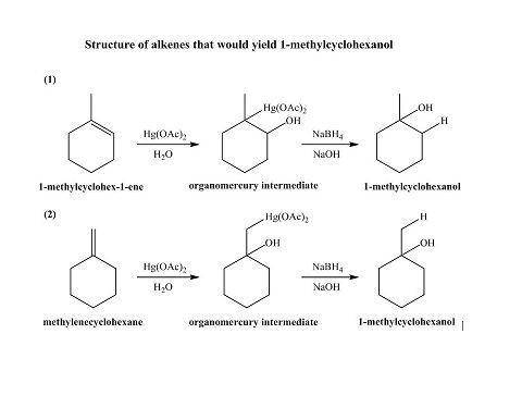 Draw the structure of two alkenes that would yield 1-methylcyclohexanol when treated with hg(oac)2 i