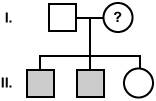 Duplicate. with attachment the family tree below shows the trait of color blindness. the only unknow