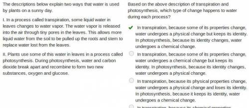The descriptions below explain two ways that water is used by plants on a sunny day.i. in a process
