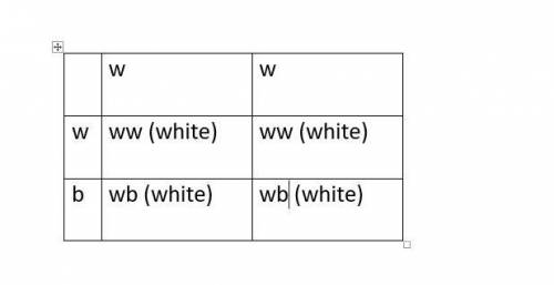 Create a punnett square to illustrate the probability of a black rabbit if a white male were mated w