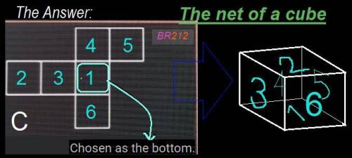 Choose which of these is the net of a cube