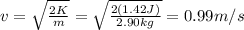 v=\sqrt{\frac{2K}{m}}=\sqrt{\frac{2(1.42 J)}{2.90 kg}}=0.99 m/s