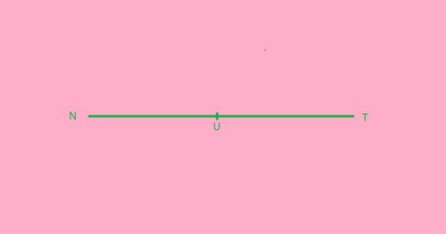 If points n, u, and t are collinear, name all the segments they determine.