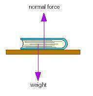 Why is a tensional or a normal force called a support force?