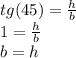 tg (45) = \frac {h} {b}\\1 = \frac {h} {b}\\b = h