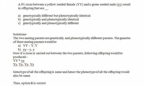 Ap1 cross between a yellow seeded female (yy) and a green seeded male (yy) result in offspring that