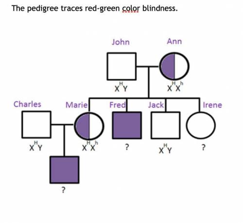 Use the pedigree on the right to determine which of the following are possible genotypes for irene.