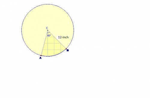 The sector of a circle with a 12-inch radius has a central angle measure of 60°. what is the exact a