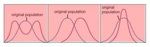 Select the correct graph.the blue curve on the graph represents the original population of a species