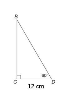 Answer the questions in the table below. show all your work. a. use special right triangles to find