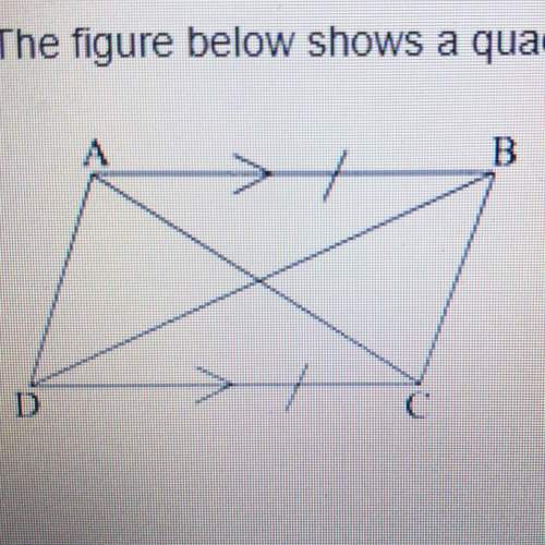 The figure below shows a quadrilateral abcd. sides ab and dc are equal and parallel: a student wrot