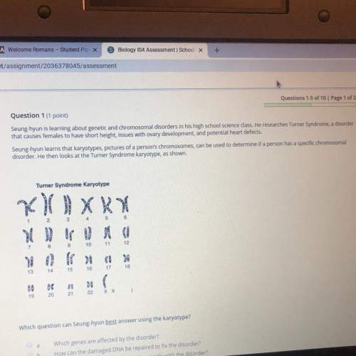 Which beat answer can seung hyun using karyotype?