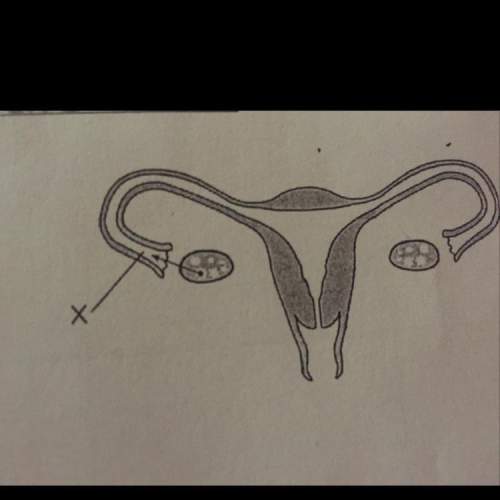 State one way a complete blockage at location x would affect the reproductive process ? answer