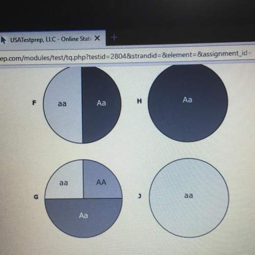 Albinism is an autosomal recessive condition. which circle graph above shows the genotype probabilit