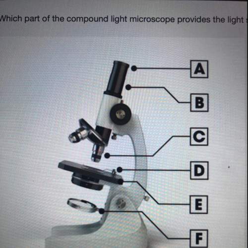 Which part of the compound light microscope provides the light source? part a part b part e part f&lt;
