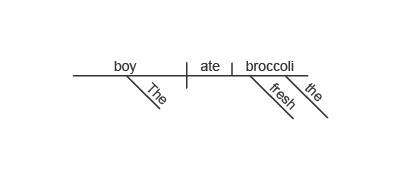 Ihave 5 min hurry read the sentence. the boy ate the fresh broccoli. which sentence diagram correc