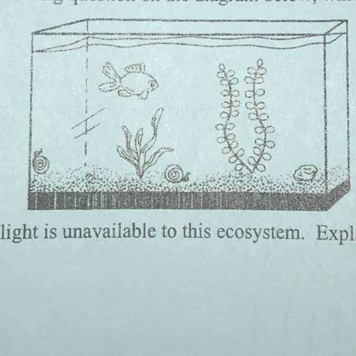 The fish will not survive if light is unavailable to this ecosystem. explain why
