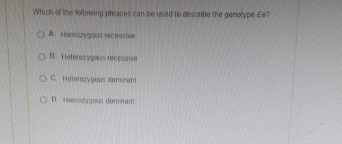 Which of the following phrases can be used to describe the genotype ee