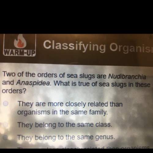 What is true of sea slugs in these orders