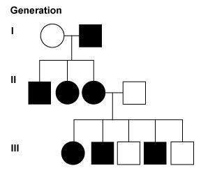 Refer to the family pedigree shown here. in generation i, one parent is affected by the gene mutatio