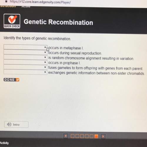What are the types of genetic recombination