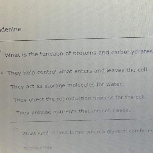 What is the function of proteins and carbohydrates that are embedded in a cell membrane?