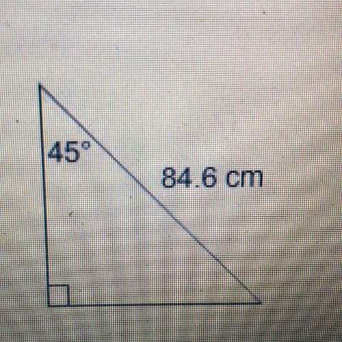 To the nearest hundredth of a centimeter, what is the length of a leg of the triangle? [1] cm 84.6