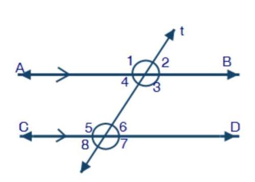 Danny draws a transversal, t, on two parallel lines ab and cd, as shown below: he makes the followi