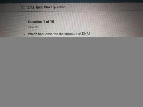 Which best describes the structure of dna?