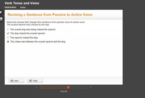 Select the answer that changes this sentence from passive voice to active voice. _the scared squirre