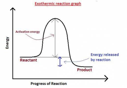 Identify the four parts of the potential energy diagram.