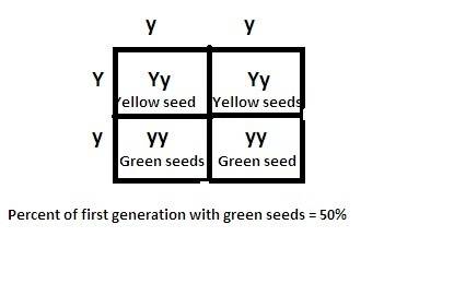 In pea plants, the allele for yellow seeds is dominant to the allele for green seeds. if a plant tha