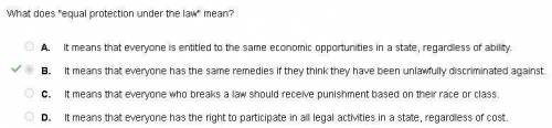 What does equal protection under the law mean