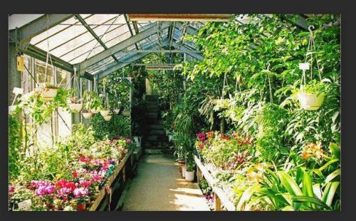 How is a greenhouse an ecosystem