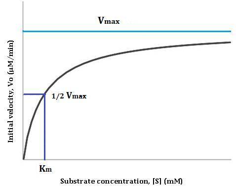 How does the concentration of the substrate in an enzyme-controlled chemical reaction change over ti