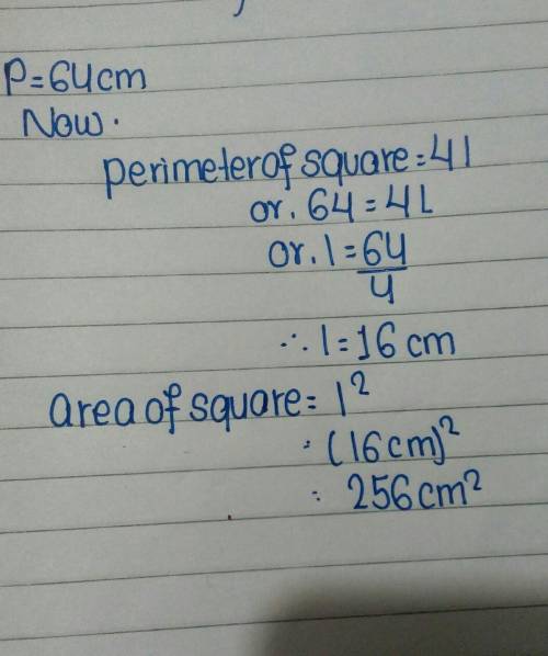 The perimeter of a square is 64 cm. Calculate the area of the square.