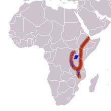 Africa's Great Rift Valley is found in which of the labeled areas?
