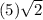 (5) \sqrt{2}
