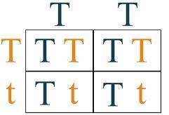The partial Punnett square shows a cross between two tall pea plants. The allele for tall height (T)