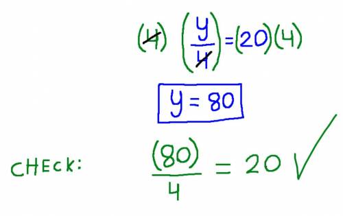 What is a solution to the equation y/4 = 20