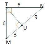Triangle N T M is shown. Angle N T M is a right angle. An altitude is drawn from point T to point U