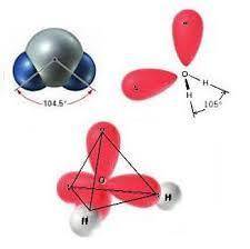 The electronegative oxygen that is central to a water molecule is  bound to two hydrogen atoms. Thes