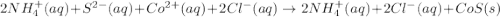 2NH_4^+(aq)+S^{2-}(aq)+Co^{2+}(aq)+2Cl^{-}(aq)\rightarrow 2NH_4^{+}(aq)+2Cl^{-}(aq)+CoS(s)