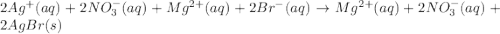 2Ag^+(aq)+2NO_3^{-}(aq)+Mg^{2+}(aq)+2Br^{-}(aq)\rightarrow Mg^{2+}(aq)+2NO_3^{-}(aq)+2AgBr(s)