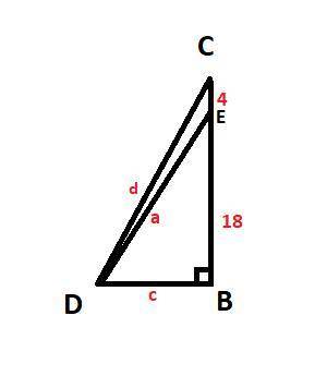 I need help:(  Triangle B C D is shown. Angle C D B is a right angle. Altitude a is drawn from point
