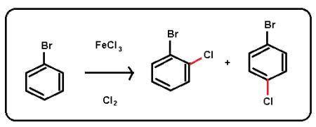 Draw the major organic product(s) for the following reaction. Multiple products may be drawn in one