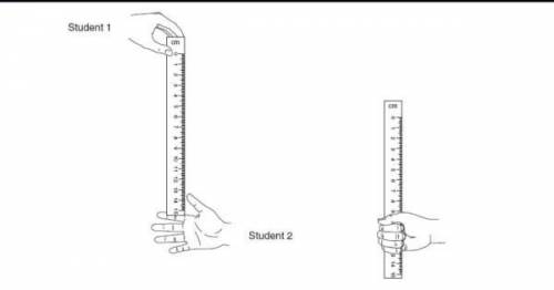 A ruler placed between one student's fingers and thumb is released without warning. A second student