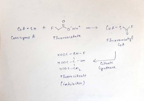 The TCA cycle in a particular tissue has been inhibited by fluoroacetate. However, it is not the flu