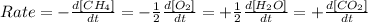 Rate=-\frac{d[CH_4]}{dt}=-\frac{1}{2}\frac{d[O_2]}{dt}=+\frac{1}{2}\frac{d[H_2O]}{dt}=+\frac{d[CO_2]}{dt}